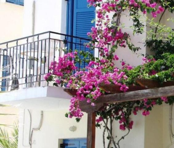 Lianos Hotel Apartments Spetses Town Exterior photo